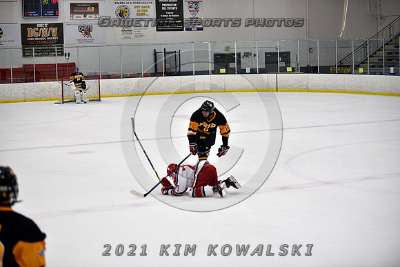 _GSP8372 (Copy)