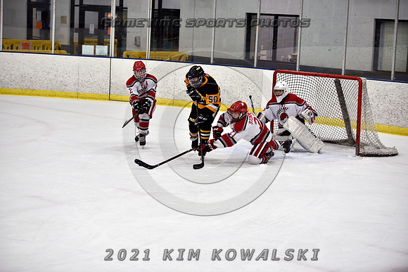 _GSP8382 (Copy)