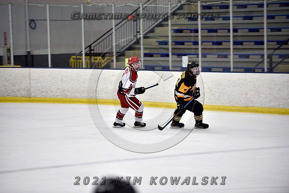 _GSP8394 (Copy)