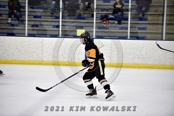 _GSP8398 (Copy)