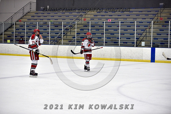 _GSP8438 (Copy)