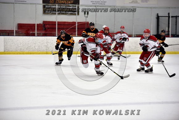 _GSP8487 (Copy)