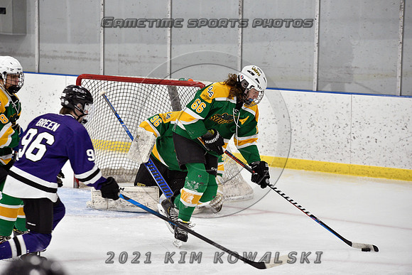 _GSP9001 (Copy)