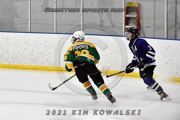 _GSP9009 (Copy)