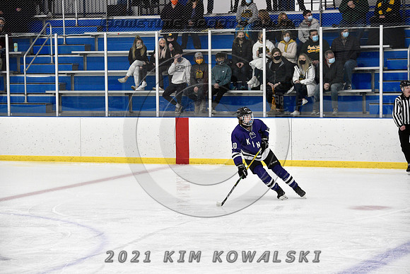 _GSP9010 (Copy)