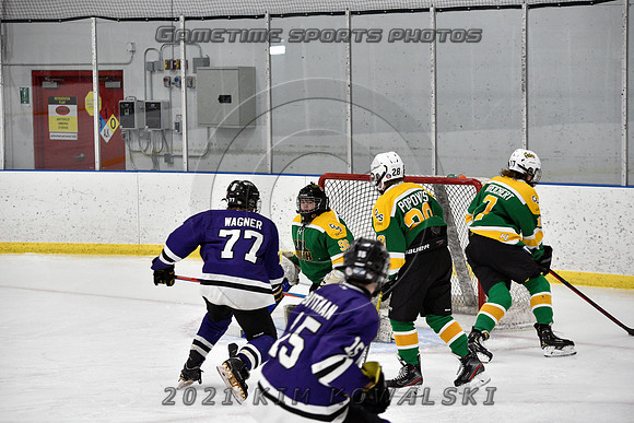 _GSP9013 (Copy)