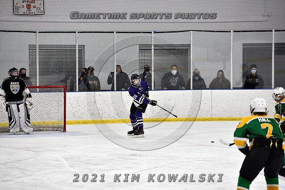_GSP9019 (Copy)