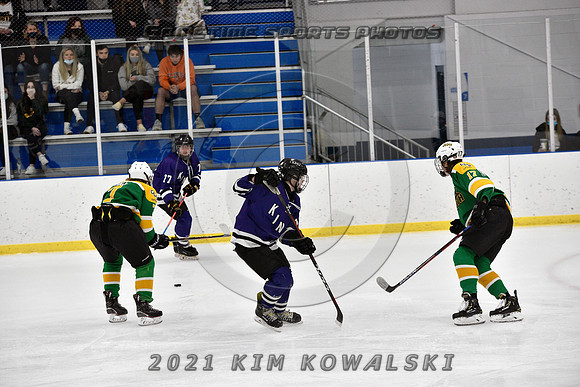 _GSP9021 (Copy)