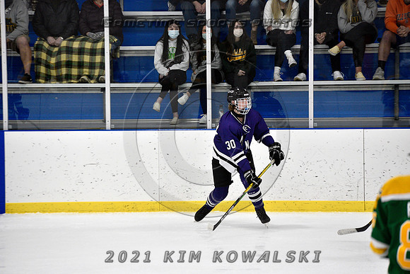 _GSP9031 (Copy)