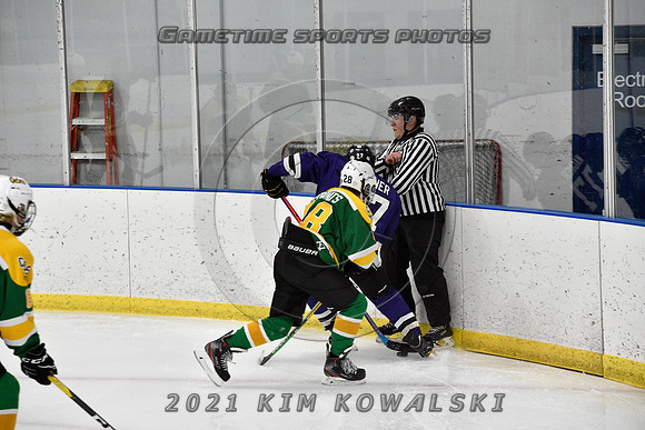 _GSP9034 (Copy)