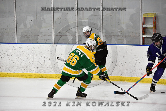 _GSP9036 (Copy)