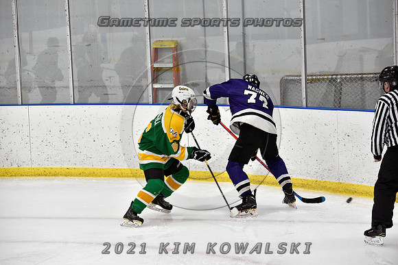 _GSP9037 (Copy)
