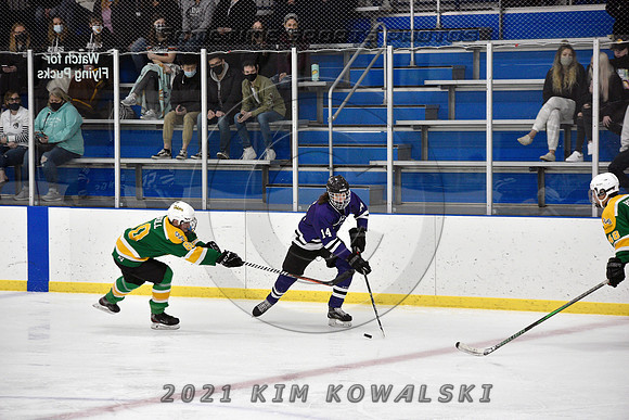 _GSP9119 (Copy)