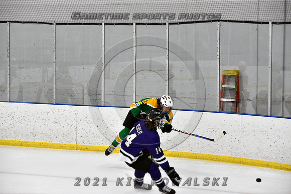 _GSP9121 (Copy)