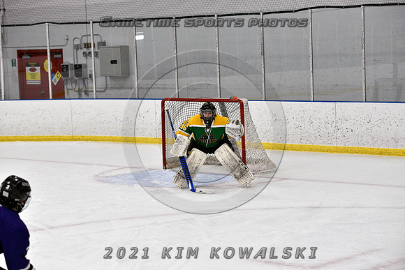 _GSP9131 (Copy)