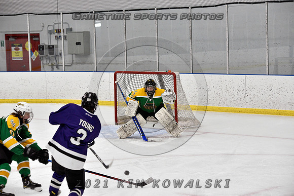 _GSP9132 (Copy)