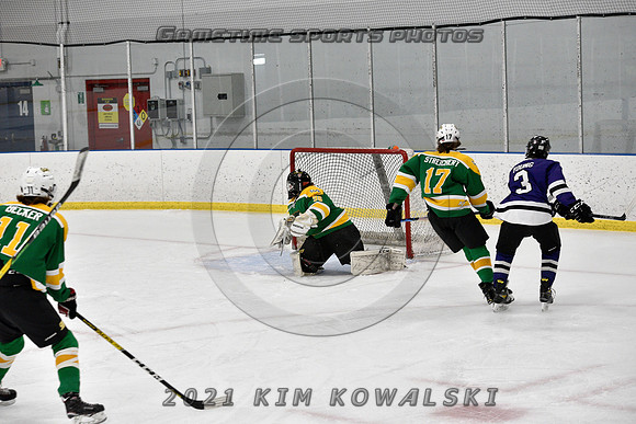 _GSP9134 (Copy)