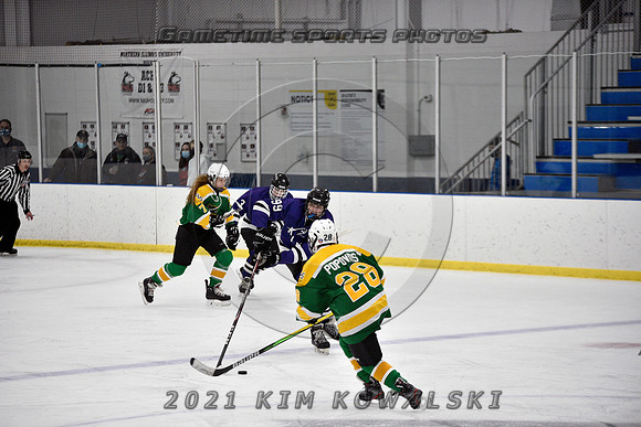 _GSP9178 (Copy)