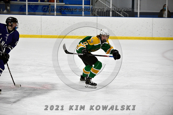 _GSP9181 (Copy)