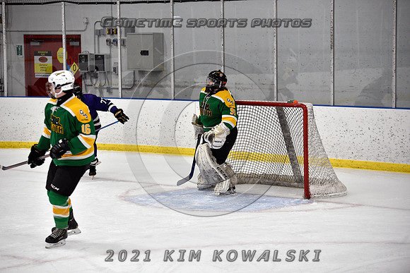 _GSP9231 (Copy)