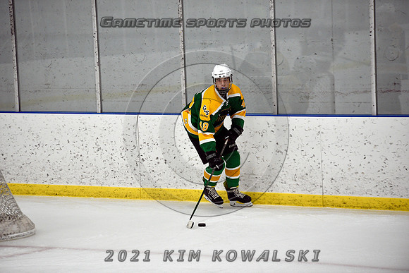 _GSP9245 (Copy)