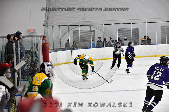 _GSP9263 (Copy)