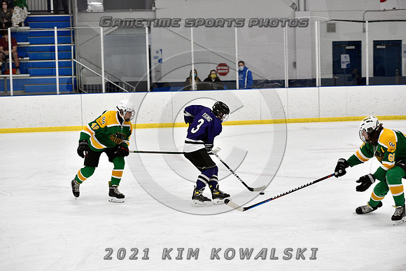 _GSP9273 (Copy)