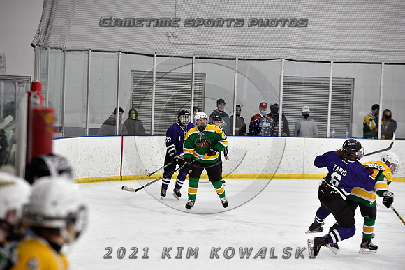_GSP9298 (Copy)