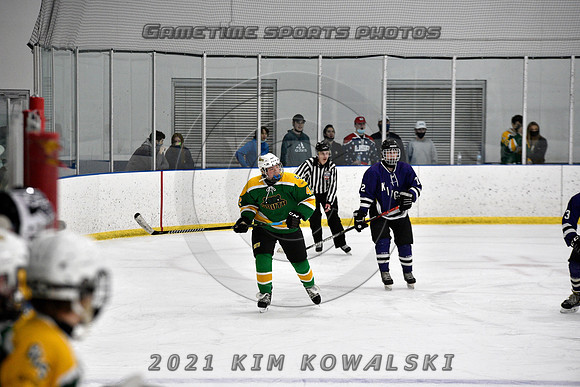 _GSP9299 (Copy)
