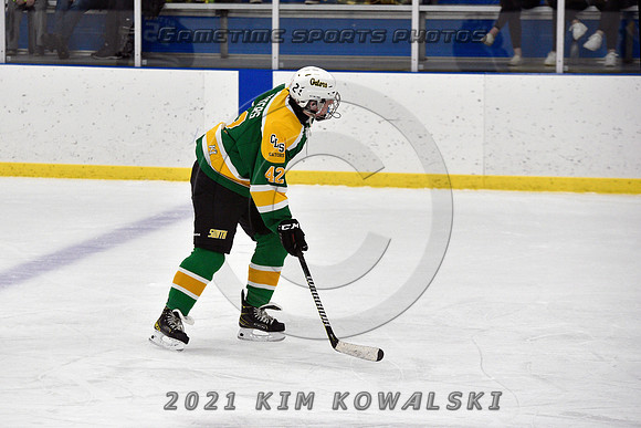 _GSP9309 (Copy)