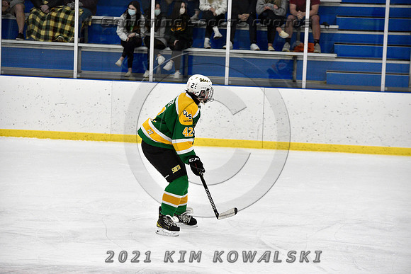 _GSP9311 (Copy)
