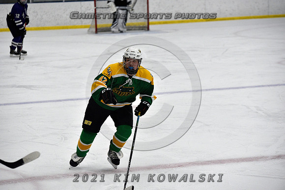 _GSP9315 (Copy)
