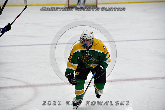 _GSP9317 (Copy)