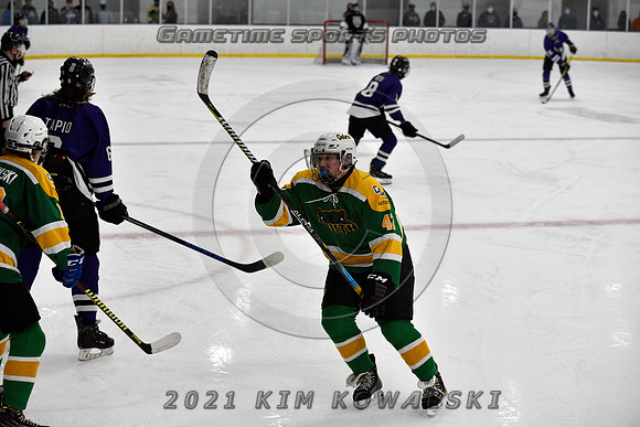 _GSP9319 (Copy)