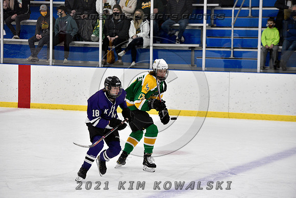 _GSP9321 (Copy)
