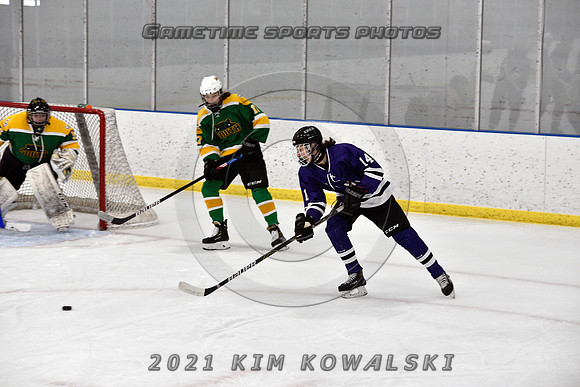 _GSP9331 (Copy)