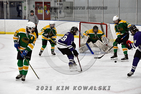 _GSP9332 (Copy)