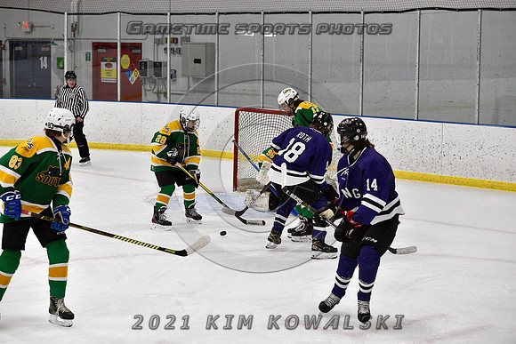 _GSP9333 (Copy)