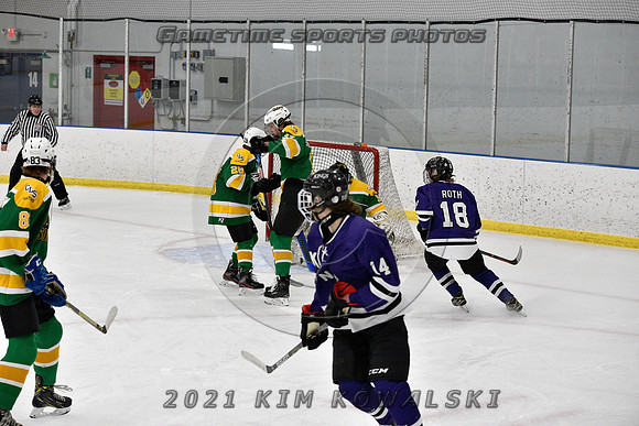 _GSP9334 (Copy)