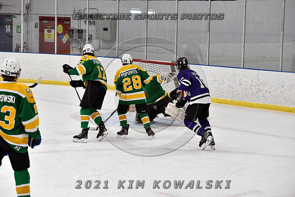 _GSP9335 (Copy)