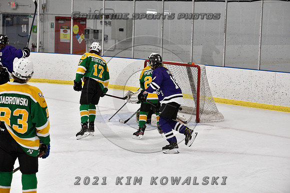 _GSP9336 (Copy)