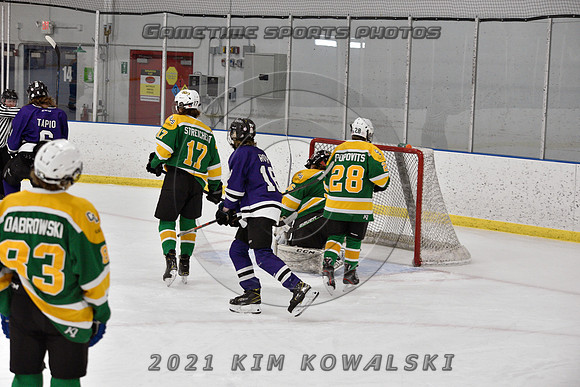 _GSP9337 (Copy)