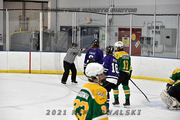 _GSP9338 (Copy)