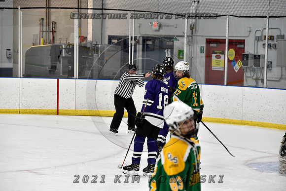 _GSP9339 (Copy)