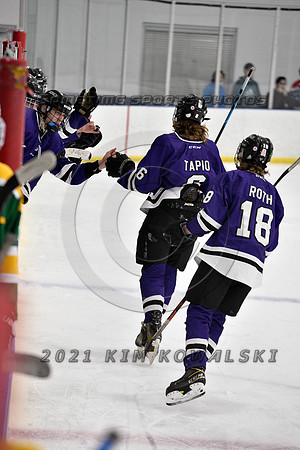_GSP9345 (Copy)