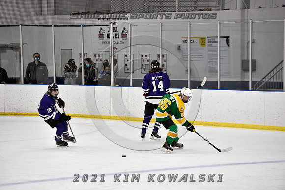 _GSP9356 (Copy)