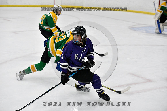 _GSP9361 (Copy)