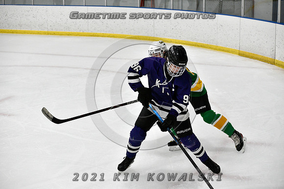 _GSP9379 (Copy)