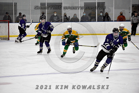 _GSP9393 (Copy)