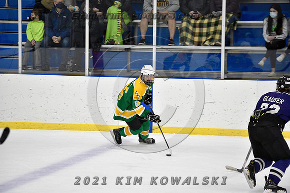 _GSP9417 (Copy)